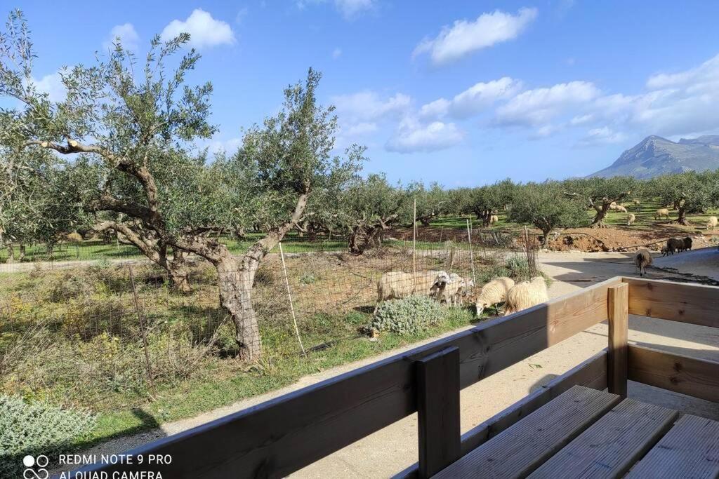 فيلا Evaggelias House كيساموس المظهر الخارجي الصورة